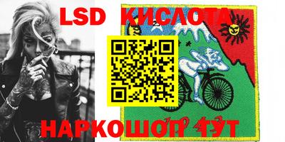 прущие грибы Моздок