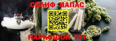 прущие грибы Моздок