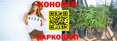 прущие грибы Моздок